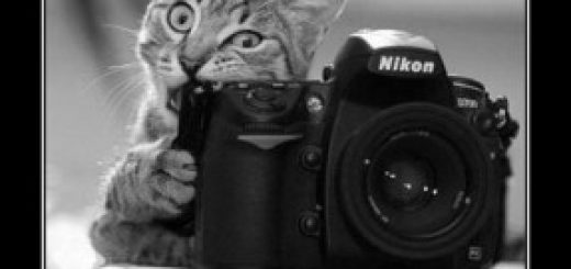 zarabotok-fotografa