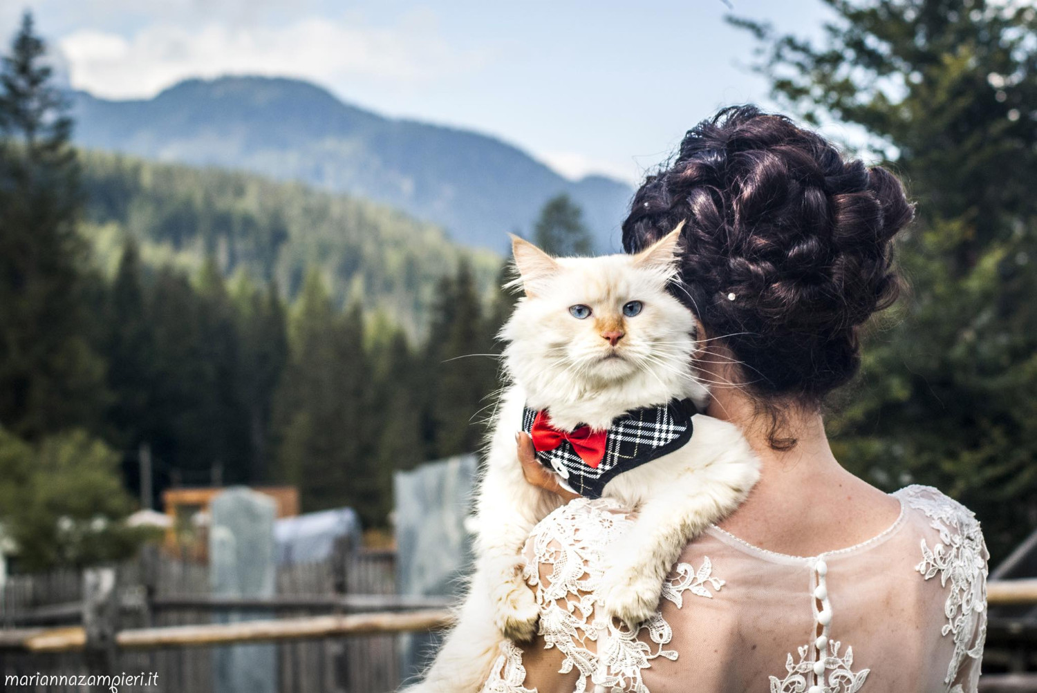 Котография Марианны Зампьери