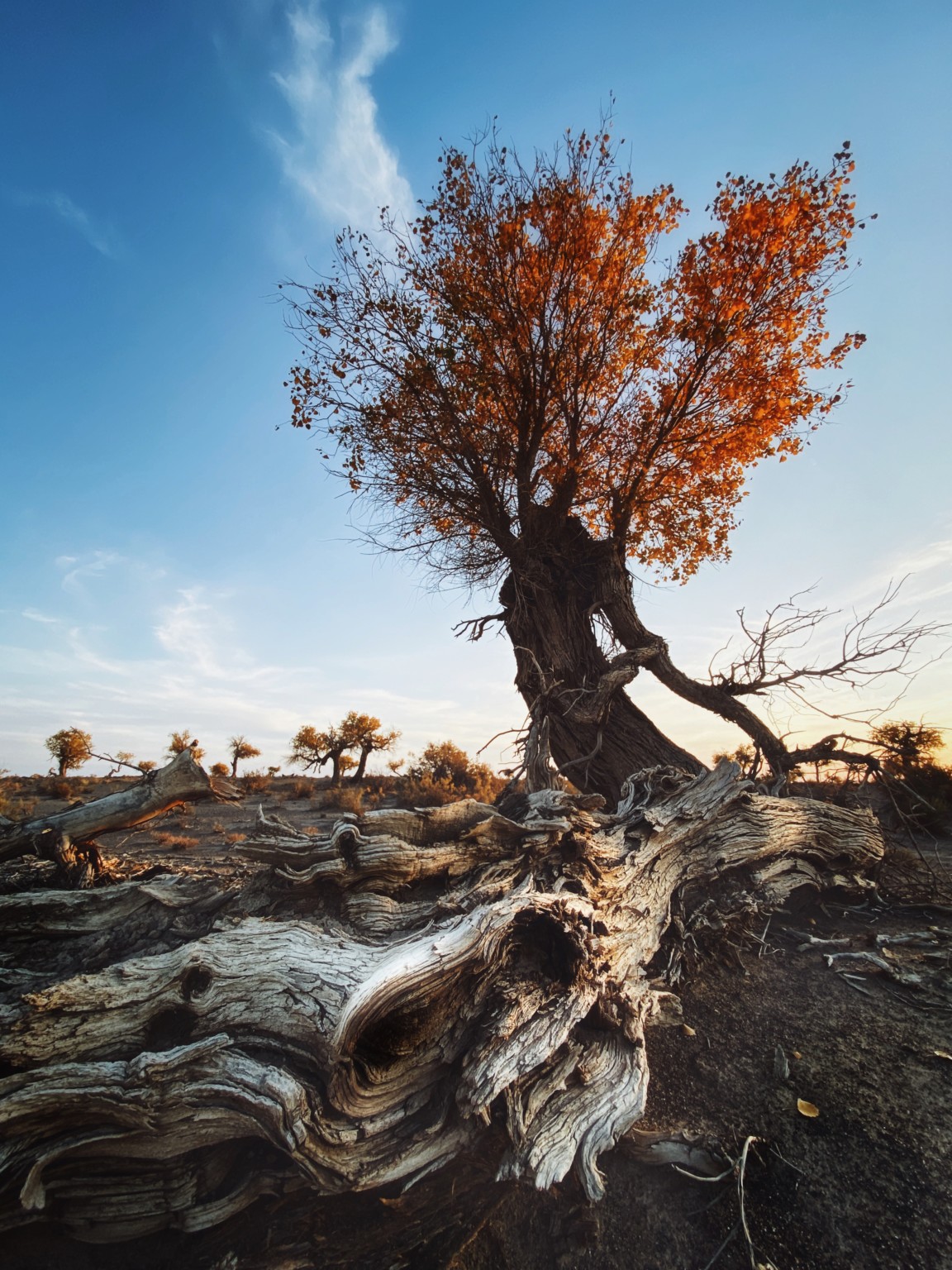 Лучшие фото с конкурса мобильной фотографии