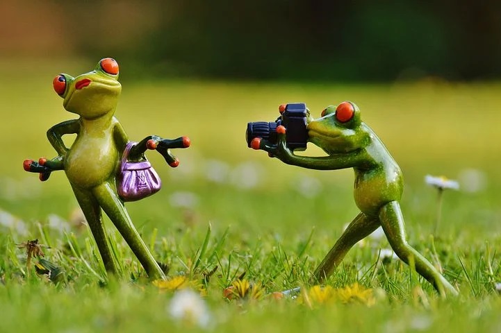 5 идей сделать фотографии более интересными