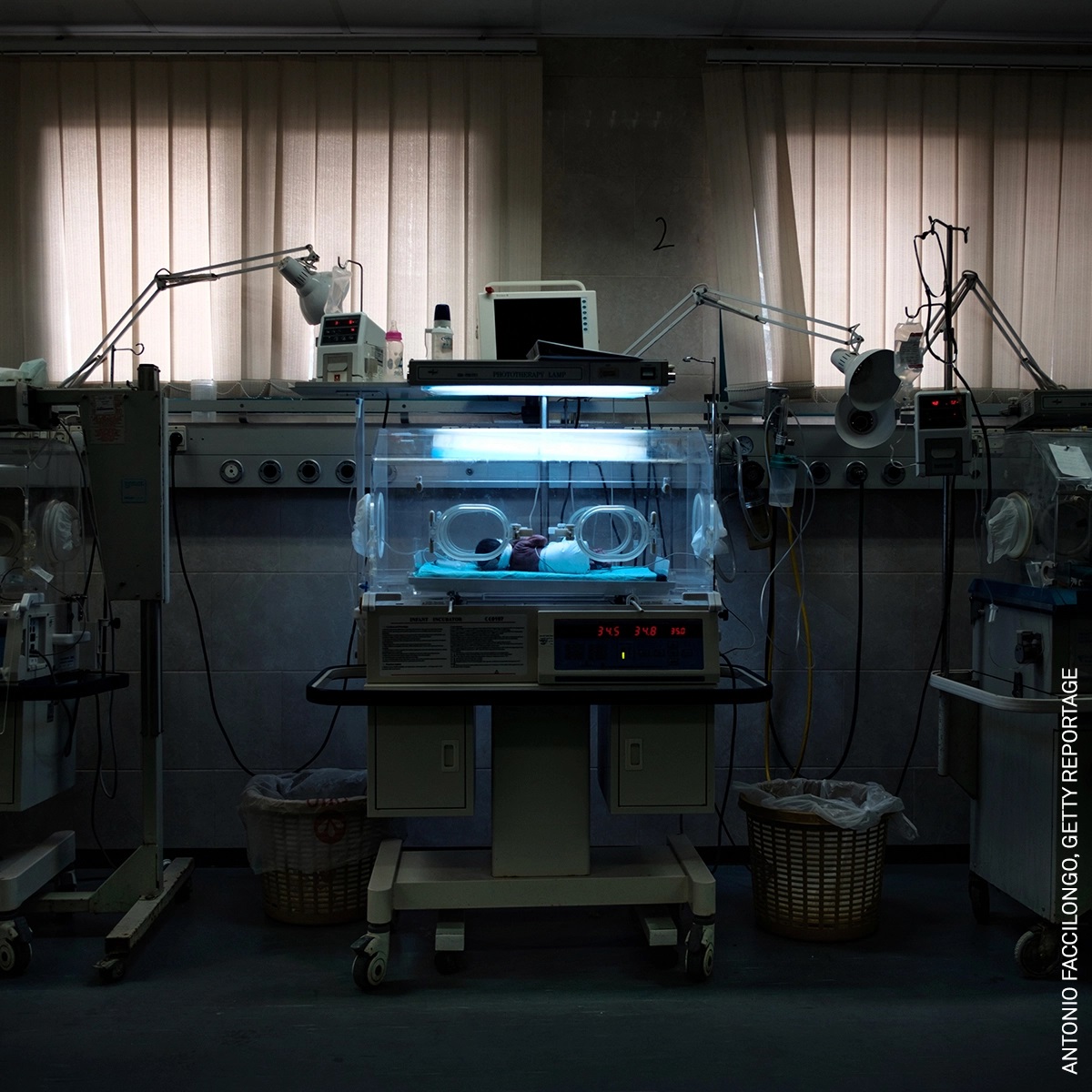 Победители фотоконкурса "The World Press Photo of the Year"