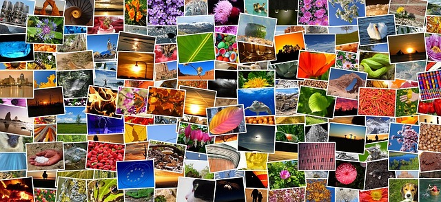 6 мифов о фотобизнесе, в которые вам пора перестать верить прямо сейчас